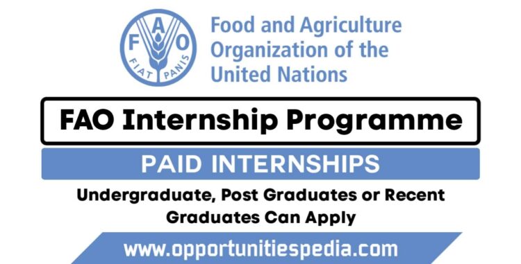 FAO Internship Programme 2026 | Paid Internships