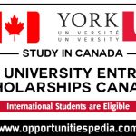 York University Scholarships 2025-2026 (Study in Canada)