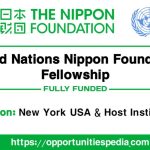 United Nations Nippon Foundation Fellowship 2026 (Fully Funded)