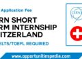 CERN Short Term Internship 2025 in Switzerland