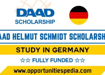 DAAD Helmut Schmidt Scholarships in Germany 2026 (Fully Funded)