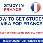 How To Get A Student Visa For France 2024 (Study In France)