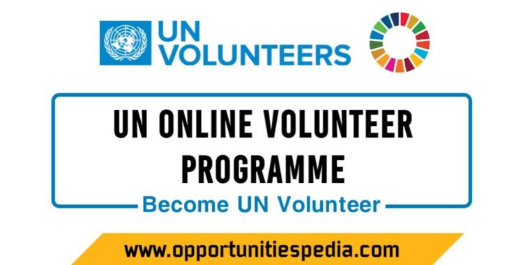 UN Online Volunteers Program 2024 (Become UN Volunteer) - Opportunities ...