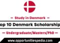 Top 10 Denmark Scholarships for International Students 2024
