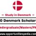 Top 10 Denmark Scholarships 2025-26 (Study in Europe)