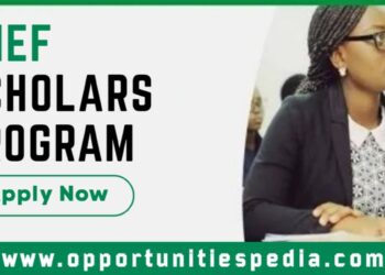 NHEF Scholars Program 2025 for Nigerian students
