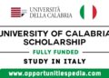 University of Calabria Scholarships 2024-2025 in Italy | Fully Funded