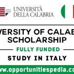 University of Calabria Scholarships 2025-26 in Italy | Fully Funded