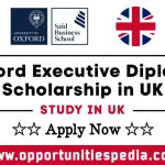 Oxford Executive Diploma Scholarship 2025 in UK (Study in UK)