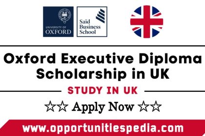 Oxford Executive Diploma Scholarship 2025 in UK (Study in UK)