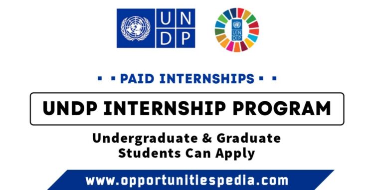 UNDP Internship Program 2025 (Funded)