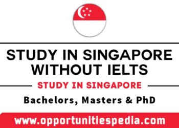Study in Singapore Without IELTS 2025 | Singapore Scholarships