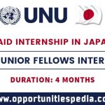 UNU Junior Fellows Internship 2025 in Tokyo, Japan