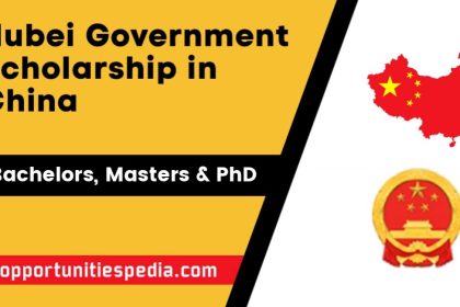 Hubei Provincial Scholarships 2025-2026 in China
