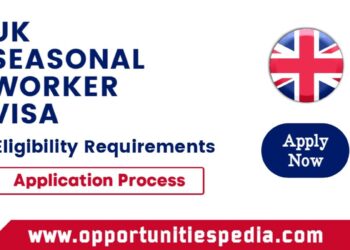 UK Seasonal Worker Visa 2024: Application Process