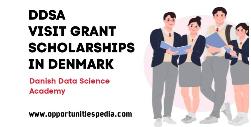 DDSA Visit Grant Scholarships 2025 in Denmark
