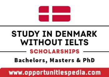 Study in Denmark Without IELTS 2025-2026 | Denmark Scholarships