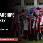 SPARK Scholarship Program 2024 in Turkey