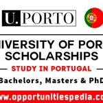 University of Porto Scholarships 2025 in Portugal
