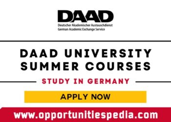 DAAD University Summer Courses in Germany