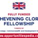 Chevening Clore Leadership Fellowship 2026 in UK (Fully Funded)