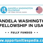 Mandela Washington Fellowship 2025 in USA (Fully Funded)