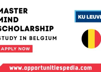 Master Mind Scholarship 2025 at KU Leuven in Belgium