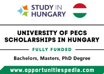 University of Pecs Scholarships 2025 in Hungary (Fully Funded)