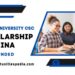 Dalian University CSC Scholarship 2025 in China (Fully Funded)