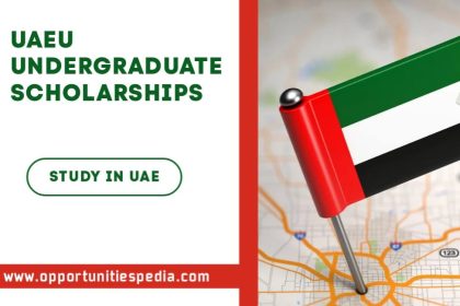UAEU Undergraduate Scholarships 2025-2026 for International Students