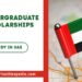 UAEU Undergraduate Scholarships 2025-2026 for International Students