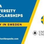 Umea University Scholarships 2025 in Sweden
