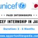 UNICEF Internship 2025 in Japan (Paid Internship)