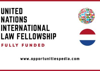 United Nations Law Fellowship 2025 (Fully Funded)