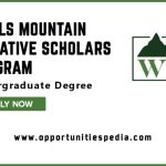 Wells Mountain Initiative Scholars Program 2025
