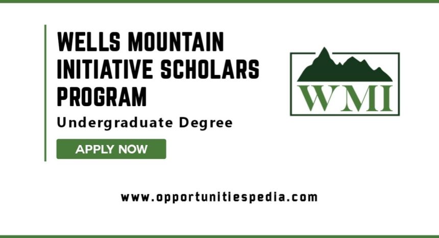 Wells Mountain Initiative Scholars Program 2025