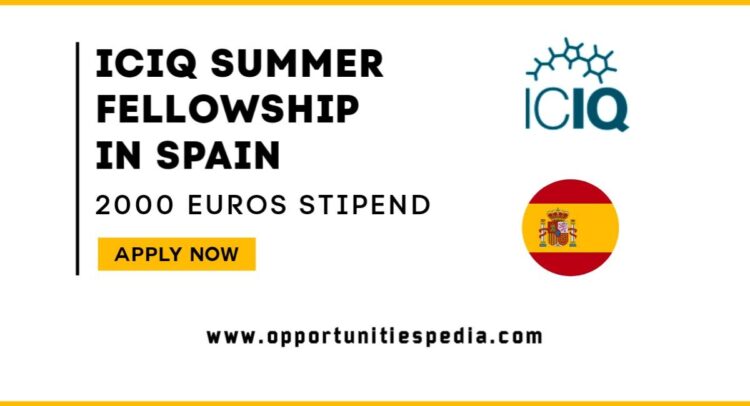 ICIQ Summer Fellowship 2025 in Spain (Paid Internship)