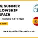 ICIQ Summer Fellowship 2025 in Spain (Paid Internship)