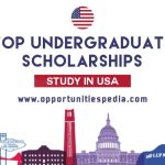Top Undergraduate Scholarships in USA 2025-26 (Study in USA)