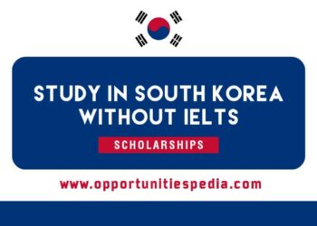 Study in South Korea Without IELTS 2025 | Scholarships
