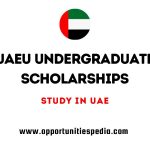 UAEU Undergraduate Scholarships 2026 for International Students