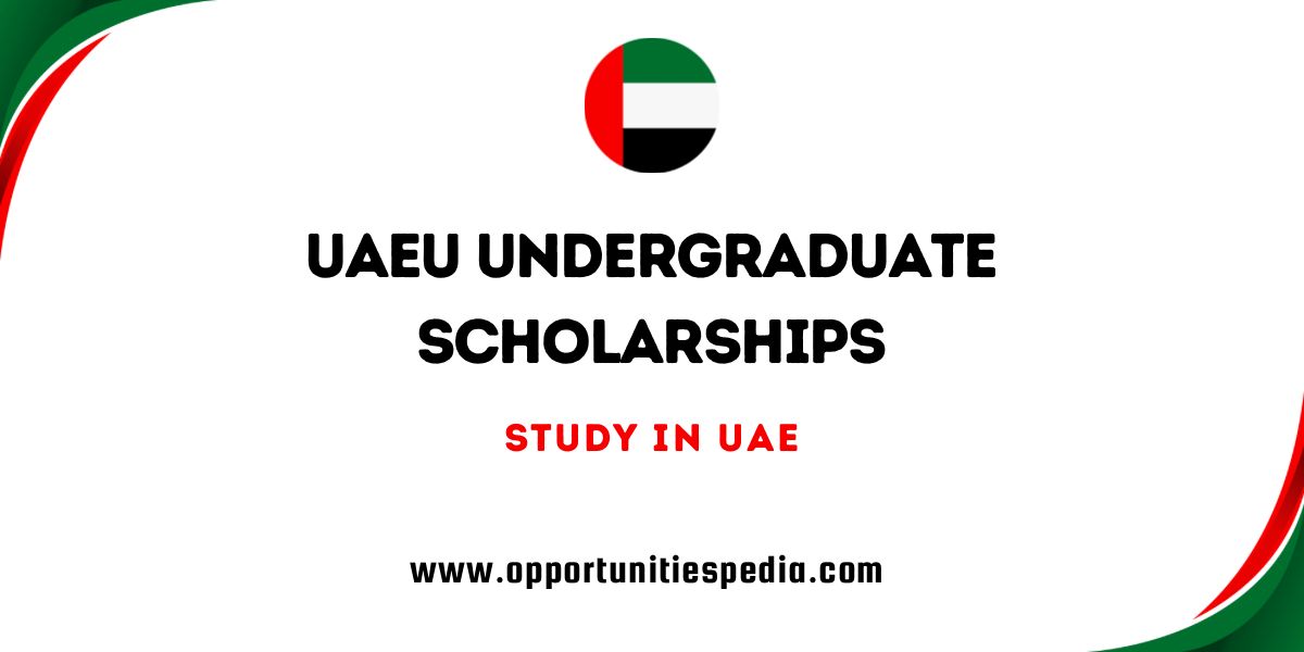 UAEU Undergraduate Scholarships 2026 for International Students