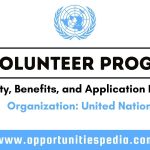 UN Volunteer Program 2026 | How to Become a United Nations Volunteer